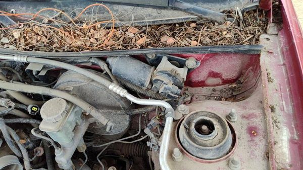 1991-2003 Ford Escort Windshield Wiper Motor Oem 6M5Z17508Aa — photo 1