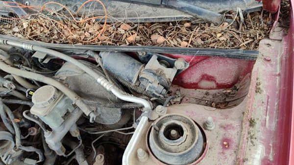 1991-2003 Ford Escort Windshield Wiper Motor Oem 6M5Z17508Aa — photo 3