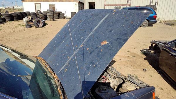 1986 Toyota Camry Hood Gray — photo 4