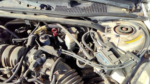 1999-2004 Buick Regal Cruise Control Servo Assembly Module With Cable Oem — photo 2