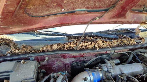 1994-1997 Honda Accord Passenger Right Windshield Wiper Arm Oem Blade Lever — photo 5