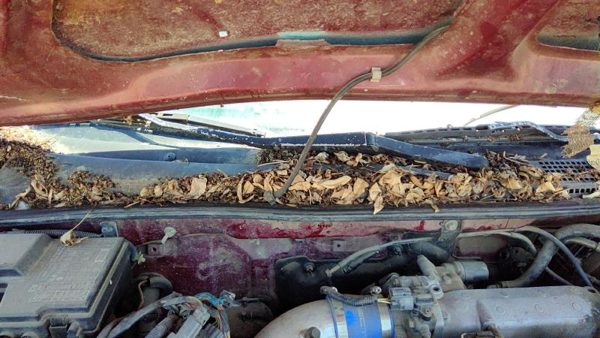 1994-1997 Honda Accord Passenger Right Windshield Wiper Arm Oem Blade Lever — photo 2