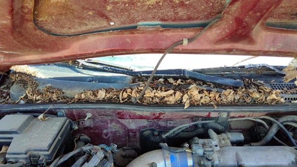 1994-1997 Honda Accord Passenger Right Windshield Wiper Arm Oem Blade Lever — photo 1