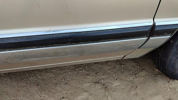 1994 Buick Park Ave Passenger Right Front Moulding From Door Oem Trim Strip Gold — photo 6