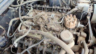 64-66 Ford Thunderbird Coupe Intake Manifold Oem 390