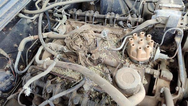 64-66 Ford Thunderbird Coupe Intake Manifold Oem 390 — photo 3