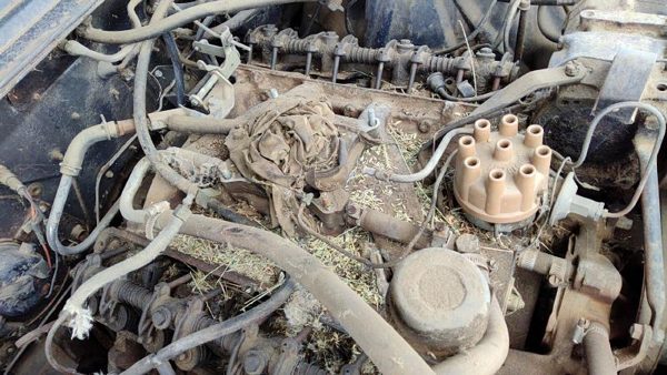 64-66 Ford Thunderbird Coupe Intake Manifold Oem 390 — photo 4
