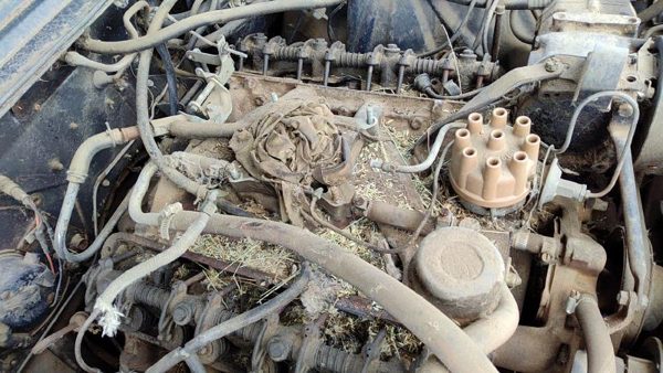 64-66 Ford Thunderbird Coupe Intake Manifold Oem 390 — photo 2