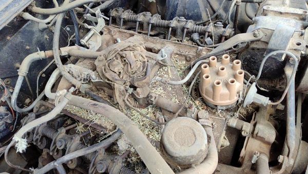 64-66 Ford Thunderbird Coupe Intake Manifold Oem 390 — photo 5