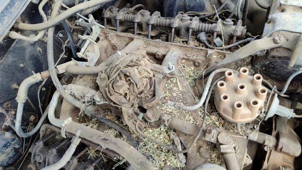64-66 Ford Thunderbird Coupe Intake Manifold Oem 390 — photo 6