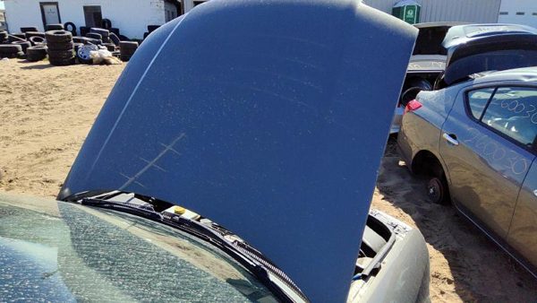 2002 Audi A6 Hood Gold — photo 3