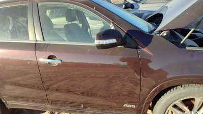 2014 Kia Sorento Front Door RH Ir Dark Cherry 760041U000