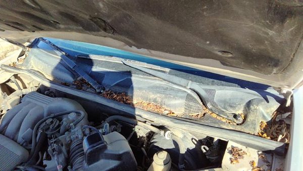 1997-1999 Toyota Camry Windshield Wiper Cowl Vent Trim Panel Oem Cover — photo 4