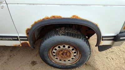 1991-1994 Chevy S10 Blazer Passenger Right Front Wheel Flare Moulding Oem Fender