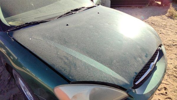 2000 Ford Taurus Hood Su Tropic Green Hail YF1Z16612AA — photo 1