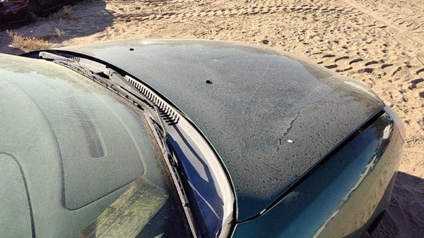 2000 Ford Taurus Hood Su Tropic Green Hail YF1Z16612AA — photo 4