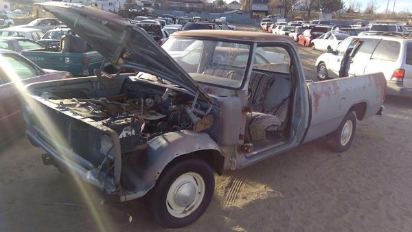 1981 Dodge Pickup 150 — vehicle photo 4