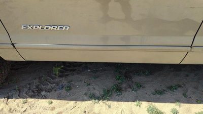 02-10 Ford Explorer Driver Left Front Moulding From Door Oem Trim Strip Gold Tk