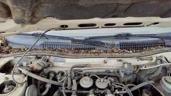 1991-1996 Infinity G20 Windshield Wiper Cowl Vent Trim Panel Oem Cover — photo 3