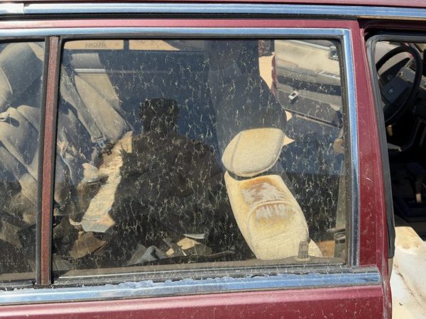 85-88 Maxima Passenger Right Rear Side Window Door Glass Oem Back 4Dr Sedan — photo 4
