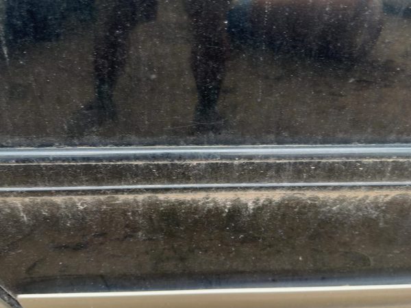 97-02 Ford Expedition Passenger Right Rear Upper Moulding From Door Oem Black — photo 7