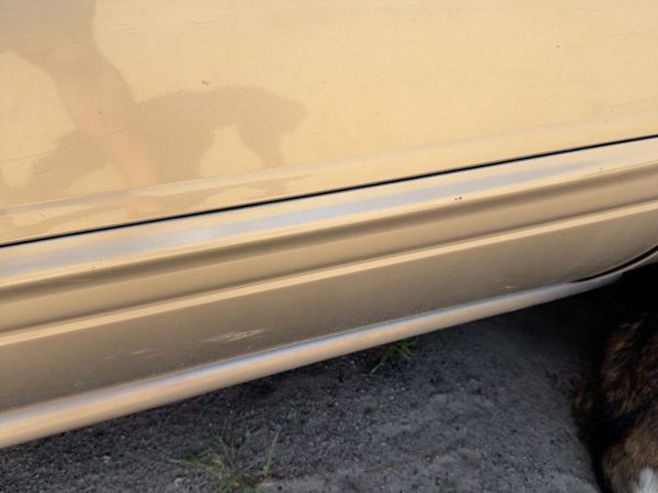 00-05 Buick Lesabre Passenger Right Front Moulding From Door Oem Bronzemist 54U — photo 6