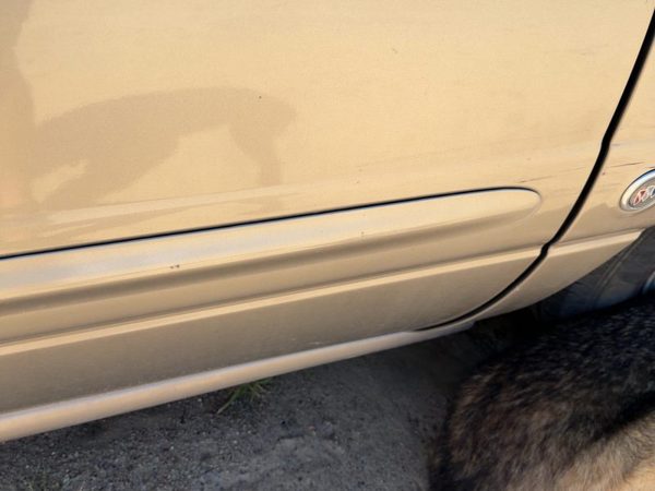 00-05 Buick Lesabre Passenger Right Front Moulding From Door Oem Bronzemist 54U — photo 7