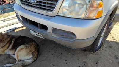 2002-2005 Ford Explorer Front Bumper Cover Assembly Oem Silver Ts 1L2z17d957paa