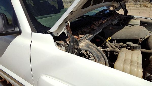 2005 GMC Sierra Hood Hinge RH 1500 Hd White 50U — photo 1