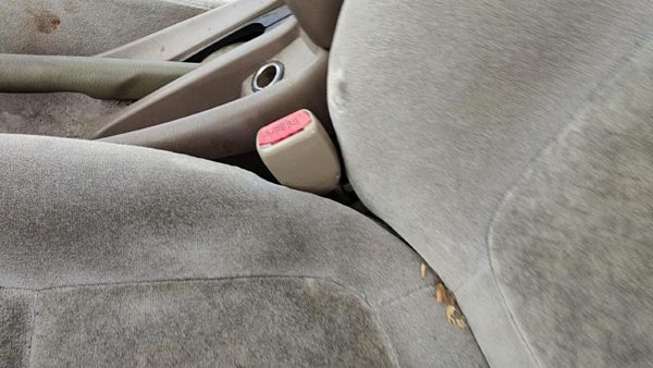 2000-2003 Nissan Sentra Driver Left Front Seat Belt Buckle Receiver Oem Sand H — photo 2