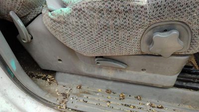 1999-2000 Chevy Silverado 1500 Passenger Right Side Seat Trim Panel Oem Gray 92D