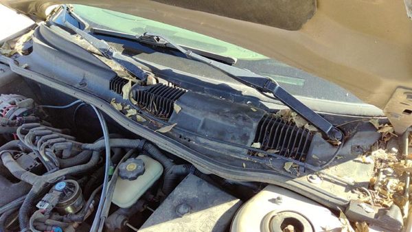 1999-2005 Pontiac Grand Am Windshield Wiper Cowl Vent Trim Panel Oem Cover — photo 1