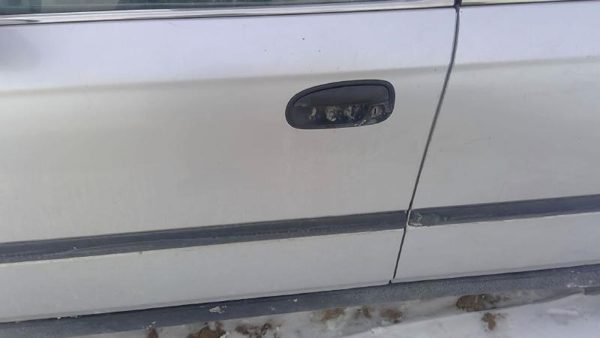 1998 Honda Civic Front Door LH Silver — photo 4