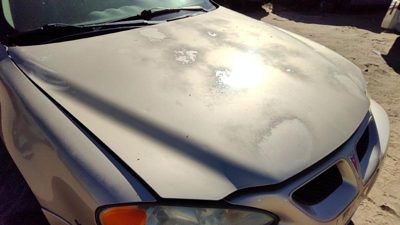 2004 Pontiac Grand Am Hood 33U Champagne Beige Hail 22603354
