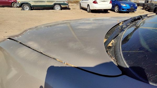 2004 Pontiac Grand Am Hood 33U Champagne Beige Hail 22603354 — photo 3