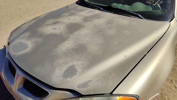 2004 Pontiac Grand Am Hood 33U Champagne Beige Hail 22603354 — photo 2