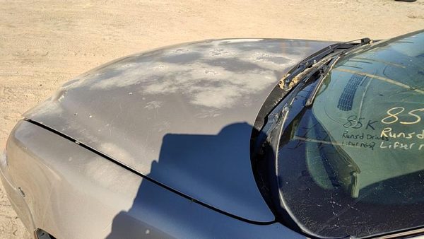 2004 Pontiac Grand Am Hood 33U Champagne Beige Hail 22603354 — photo 4