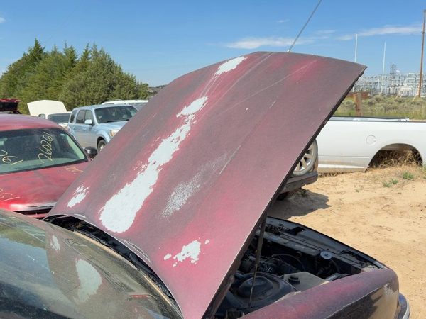 1994 Olds Eighty-eight 88 Hood Maroon — photo 2