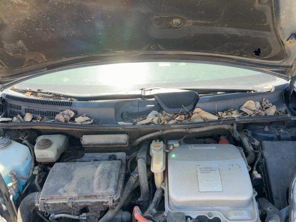 2004-2009 Toyota Prius Cowl Vent Panel Screen Louver OEM 1.5L Hybrid — photo 1