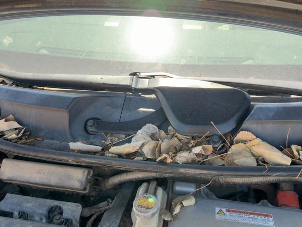 2004-2009 Toyota Prius Cowl Vent Panel Screen Louver OEM 1.5L Hybrid — photo 5
