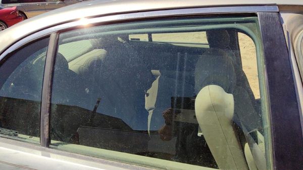 1997-2005 Park Ave Ultra Passenger Right Rear Side Window Door Glass Oem Back — photo 6