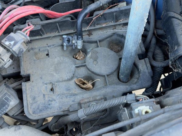 1999-2005 Vw Jetta Complete Battery Box Mount Tray With Hold Down Oem Sedan — photo 4