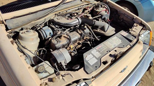 1984 Ford Tempo — vehicle photo 2