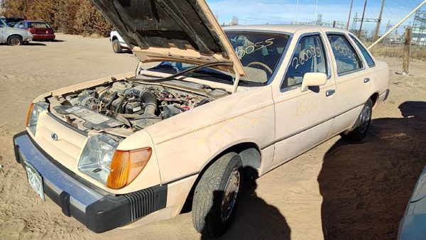 1984 Ford Tempo — vehicle photo 3