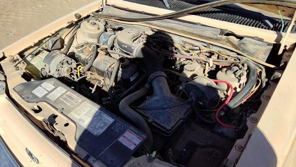 1984 Ford Tempo — vehicle photo 4