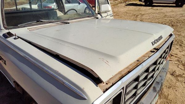 1984 Dodge D350 Hood Gray — photo 1