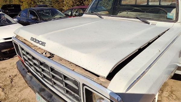 1984 Dodge D350 Hood Gray — photo 2