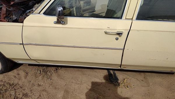 1980 Cadillac Fleetwood Front Door LH — photo 2