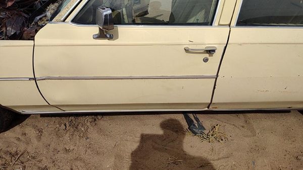 1980 Cadillac Fleetwood Front Door LH — photo 3