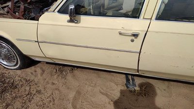 1980 Cadillac Fleetwood Front Door LH
